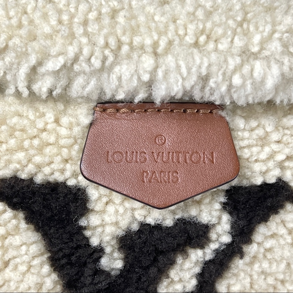 Louis Vuitton Teddy Mono Bumbag - Picture 5 of 13